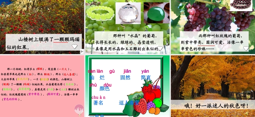 三年级语文上册 第四单元 迷人的秋色课件1 湘教版-湘教版小学三年级上册语文课件