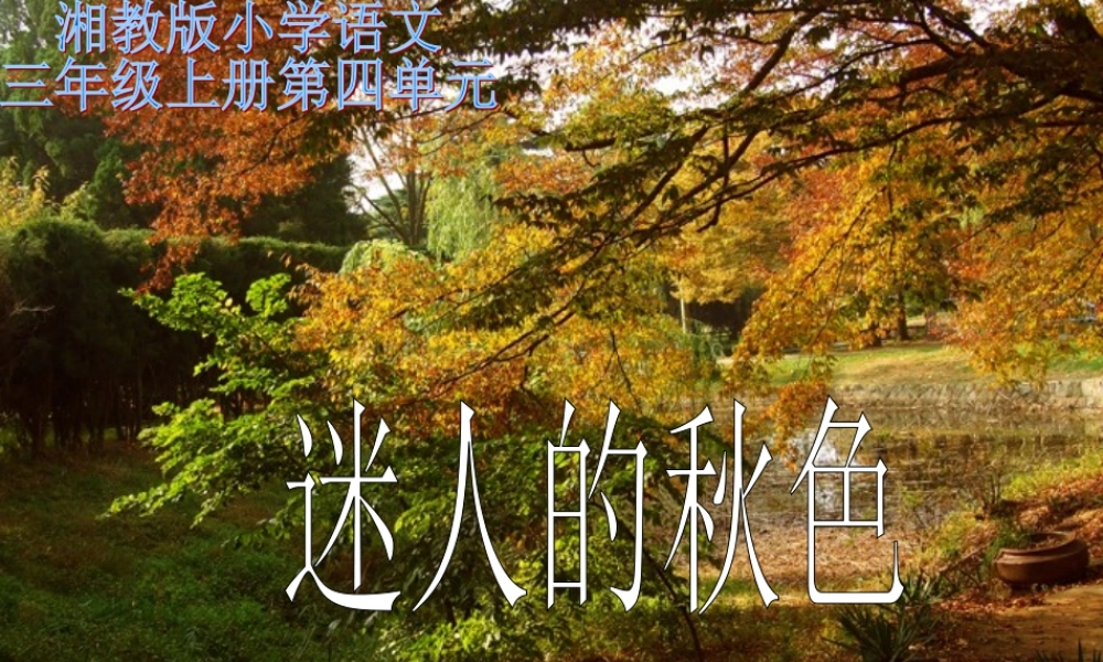 三年级语文上册 第四单元 迷人的秋色课件2 湘教版-湘教版小学三年级上册语文课件