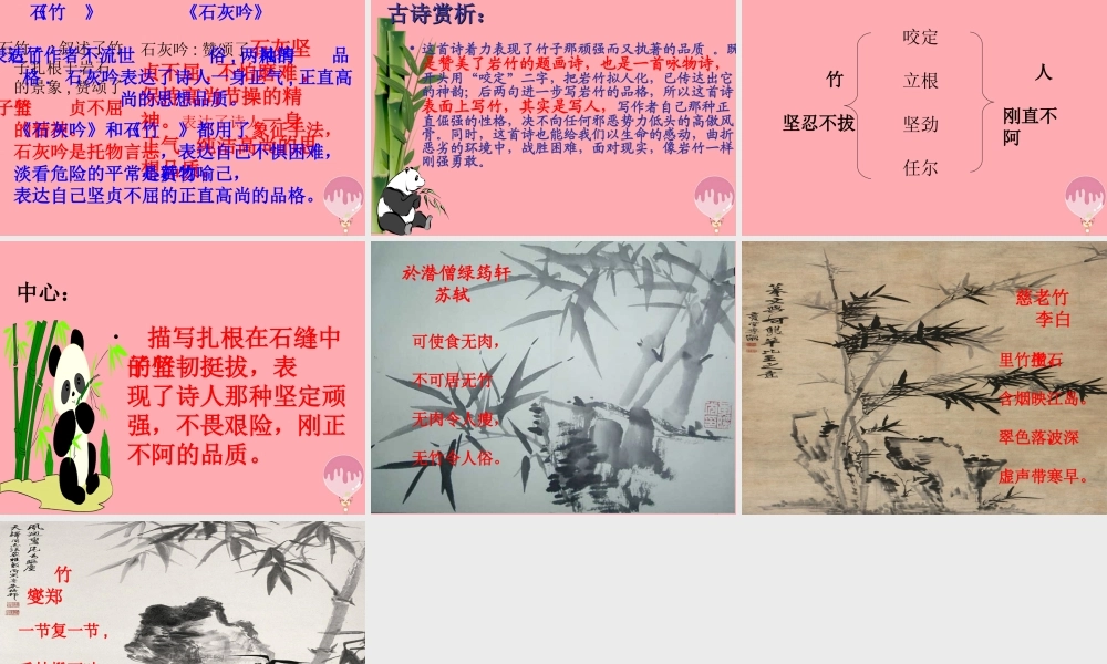 三年级语文上册 第六单元 竹石课件3 西师大版-西师大版小学三年级上册语文课件