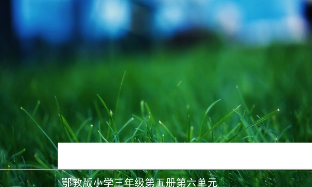 三年级语文上册 第六单元“我喜欢昆虫”课件1 鄂教版-鄂教版小学三年级上册语文课件