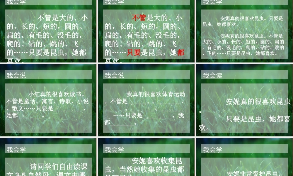 三年级语文上册 第六单元“我喜欢昆虫”课件1 鄂教版-鄂教版小学三年级上册语文课件