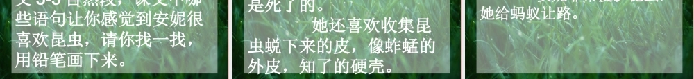 三年级语文上册 第六单元“我喜欢昆虫”课件1 鄂教版-鄂教版小学三年级上册语文课件