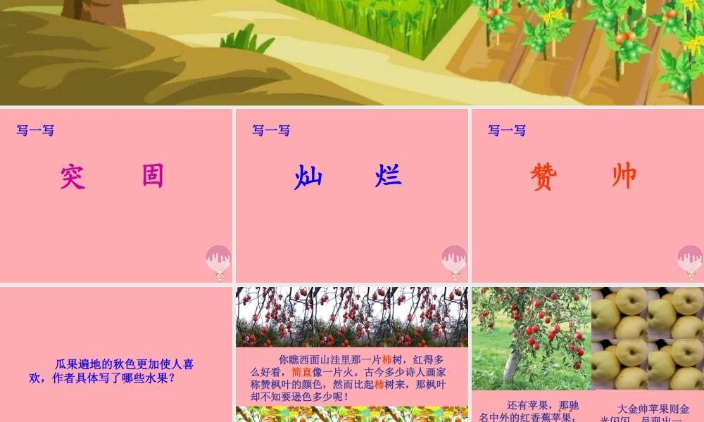 三年级语文上册 第四单元 迷人的秋色课件3 湘教版-湘教版小学三年级上册语文课件