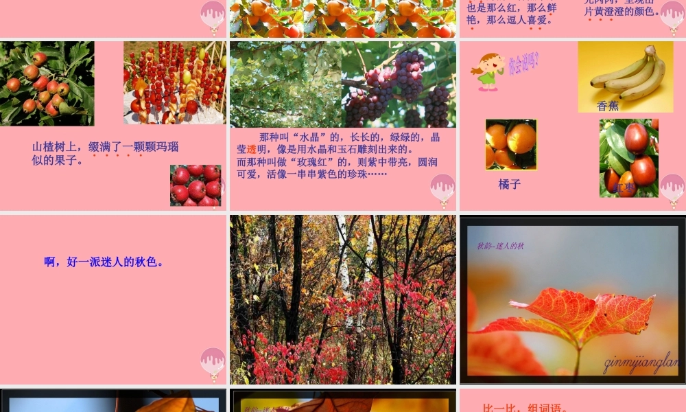 三年级语文上册 第四单元 迷人的秋色课件3 湘教版-湘教版小学三年级上册语文课件