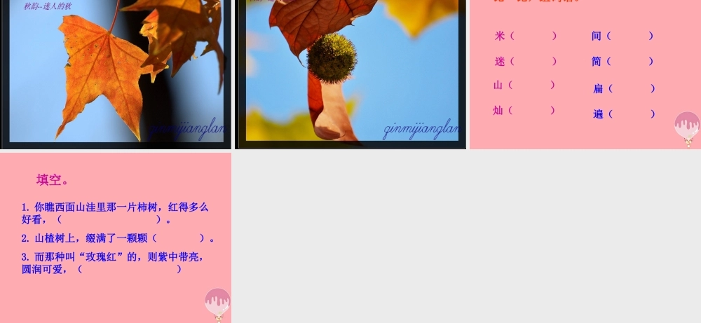 三年级语文上册 第四单元 迷人的秋色课件3 湘教版-湘教版小学三年级上册语文课件