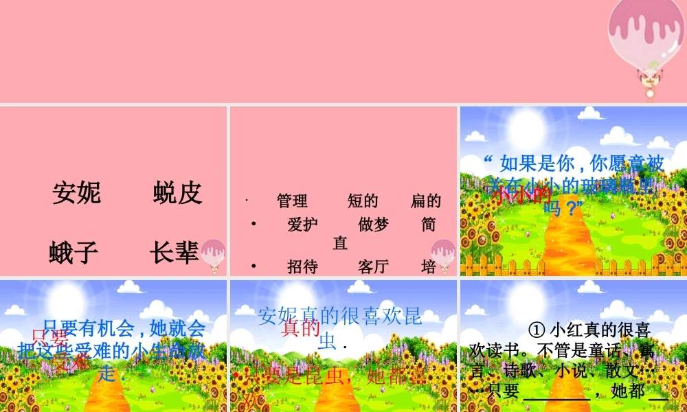 三年级语文上册 第六单元“我喜欢昆虫”课件2 鄂教版-鄂教版小学三年级上册语文课件