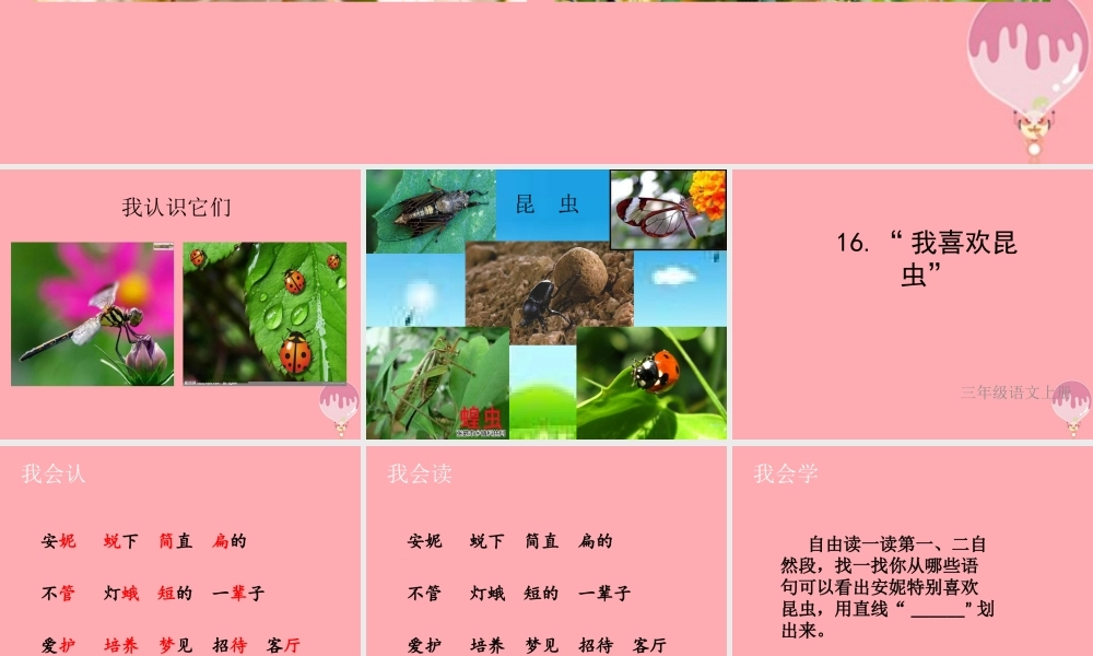 三年级语文上册 第六单元“我喜欢昆虫”课件3 鄂教版-鄂教版小学三年级上册语文课件