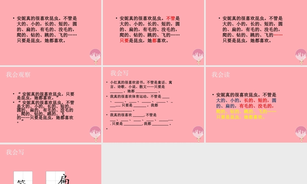 三年级语文上册 第六单元“我喜欢昆虫”课件3 鄂教版-鄂教版小学三年级上册语文课件