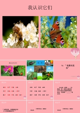 三年级语文上册 第六单元“我喜欢昆虫”课件3 鄂教版-鄂教版小学三年级上册语文课件