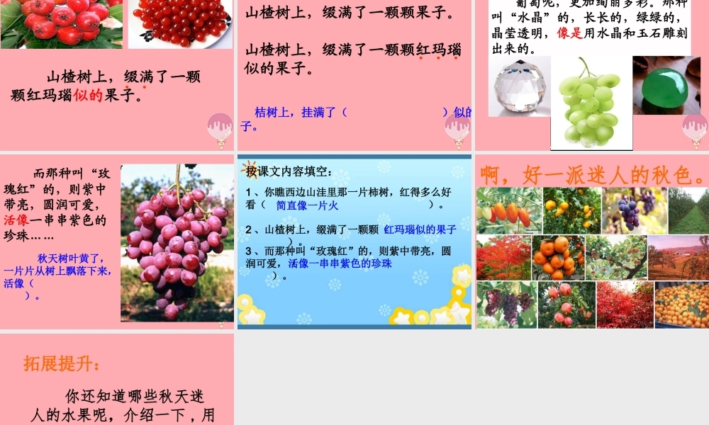 三年级语文上册 第四单元 迷人的秋色课件4 湘教版-湘教版小学三年级上册语文课件