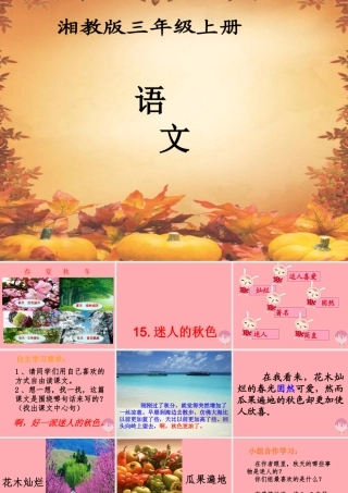 三年级语文上册 第四单元 迷人的秋色课件4 湘教版-湘教版小学三年级上册语文课件