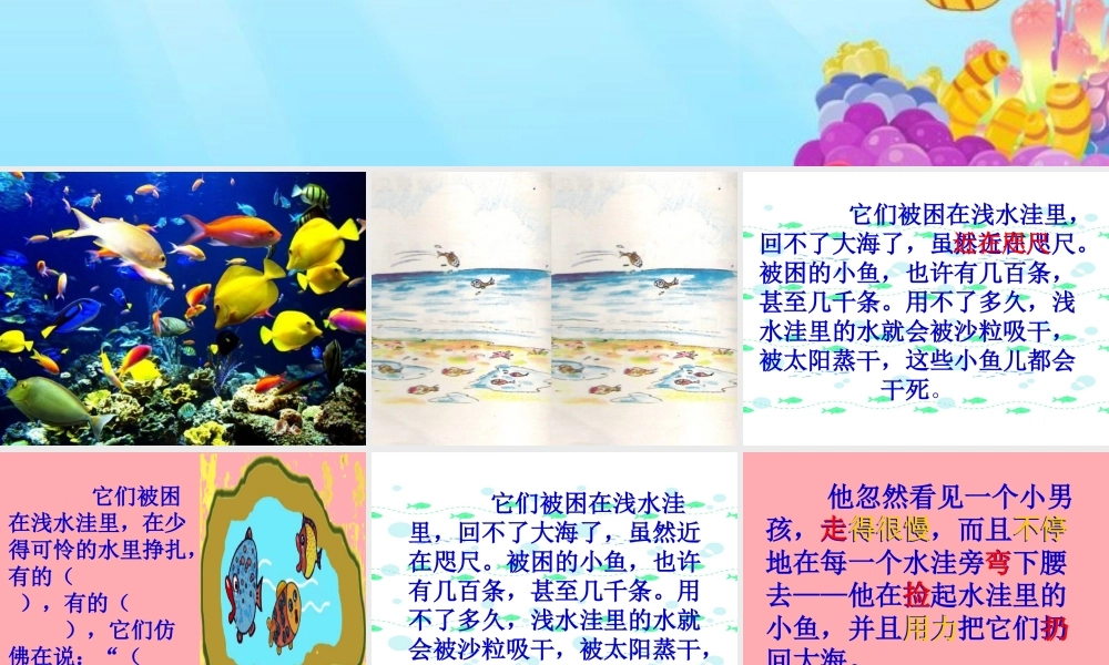 三年级语文上册 第四单元 这条小鱼在乎课件5 西师大版-西师大版小学三年级上册语文课件