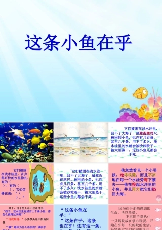 三年级语文上册 第四单元 这条小鱼在乎课件5 西师大版-西师大版小学三年级上册语文课件