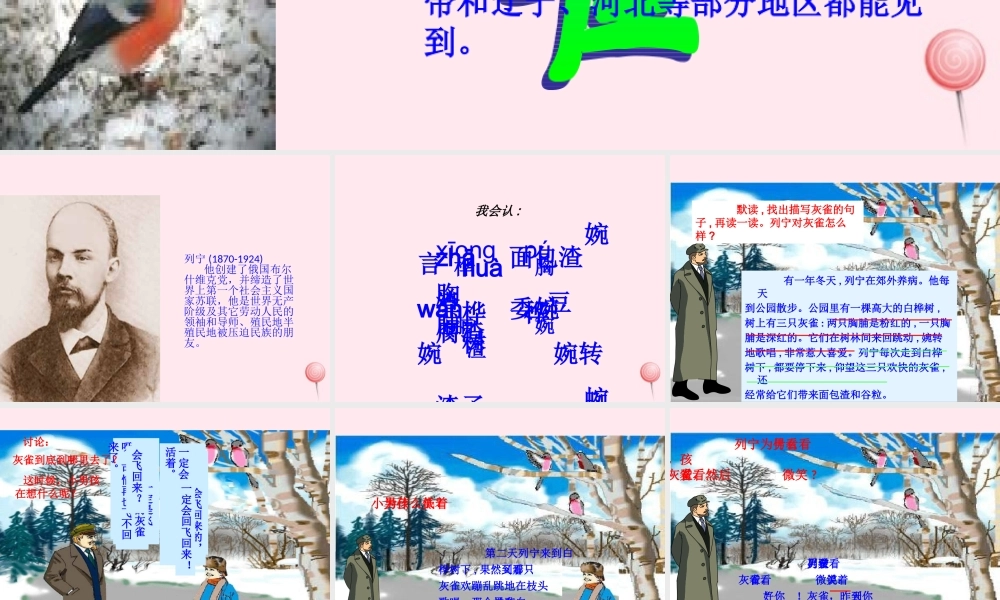 三年级语文上册 第二组 5 灰雀课件 新人教版