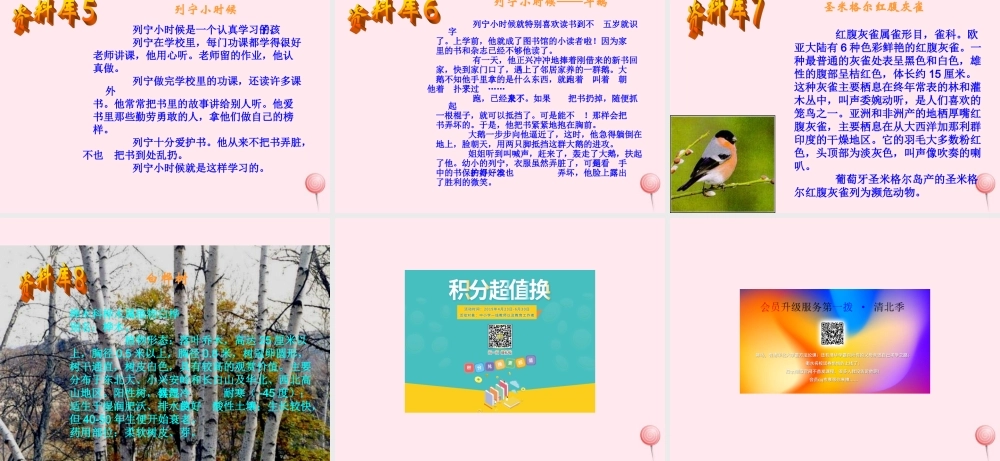 三年级语文上册 第二组 5 灰雀课件 新人教版