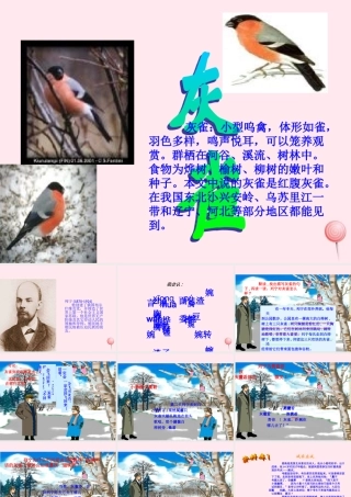 三年级语文上册 第二组 5 灰雀课件 新人教版