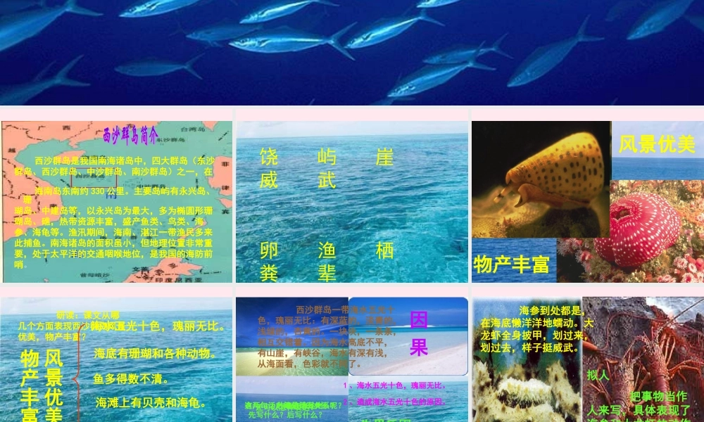 三年级语文上册 第六组 22 富饶的西沙群岛课件 新人教版