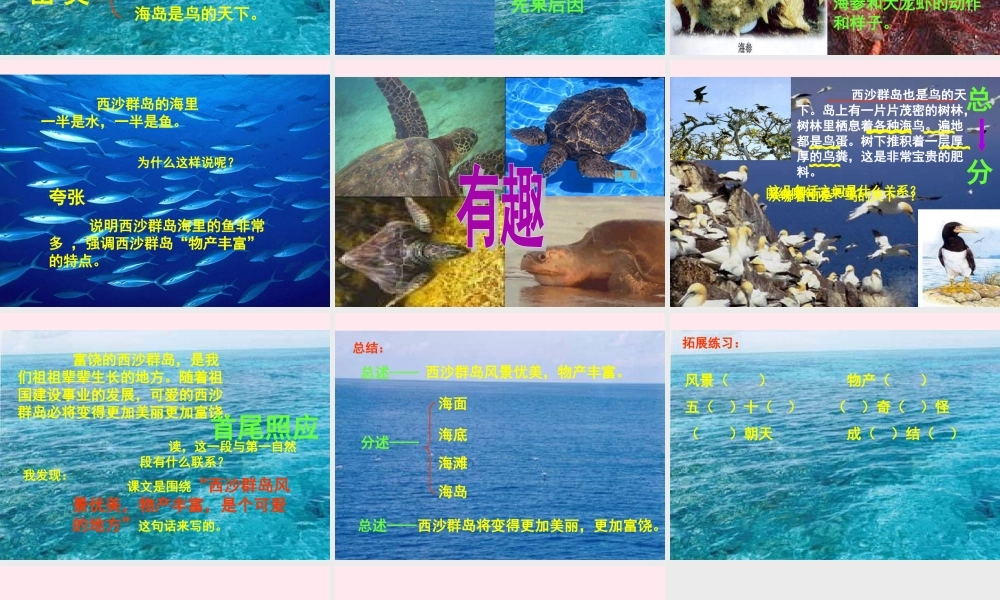 三年级语文上册 第六组 22 富饶的西沙群岛课件 新人教版