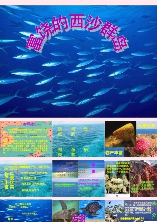 三年级语文上册 第六组 22 富饶的西沙群岛课件 新人教版