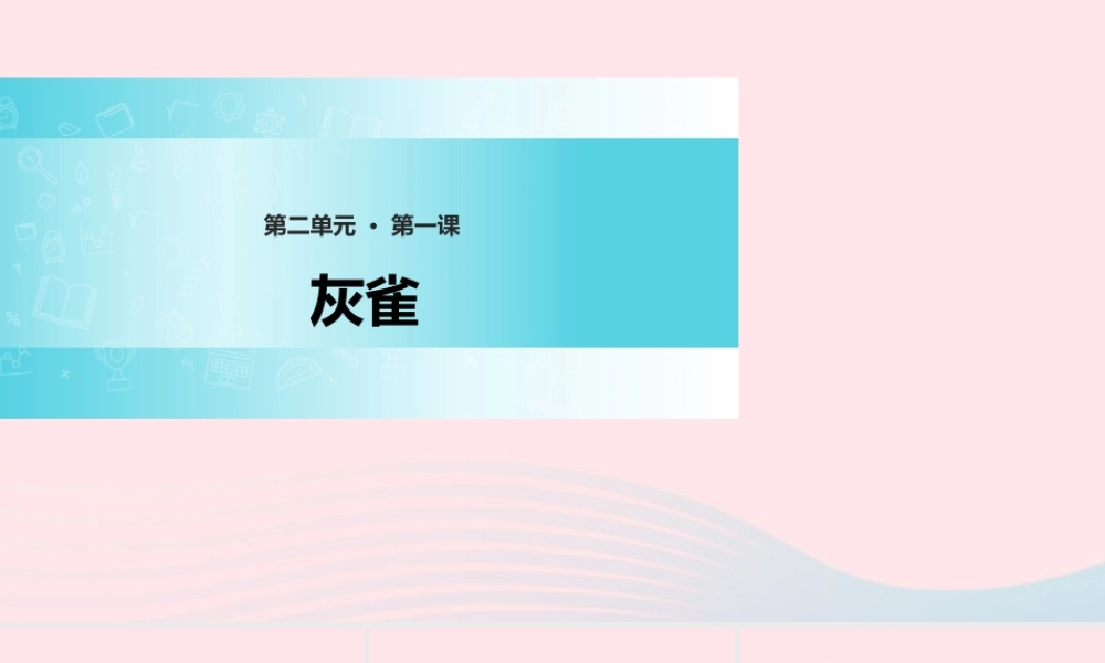 三年级语文上册 第二单元 5《灰雀》精品课件 鲁教版-鲁教版小学三年级上册语文课件