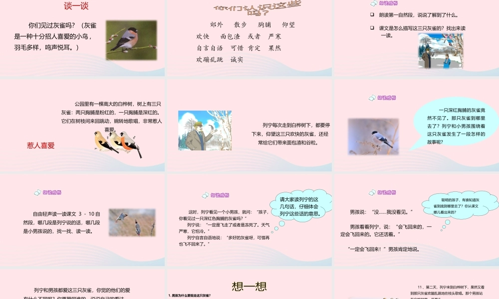 三年级语文上册 第二单元 5《灰雀》精品课件 鲁教版-鲁教版小学三年级上册语文课件