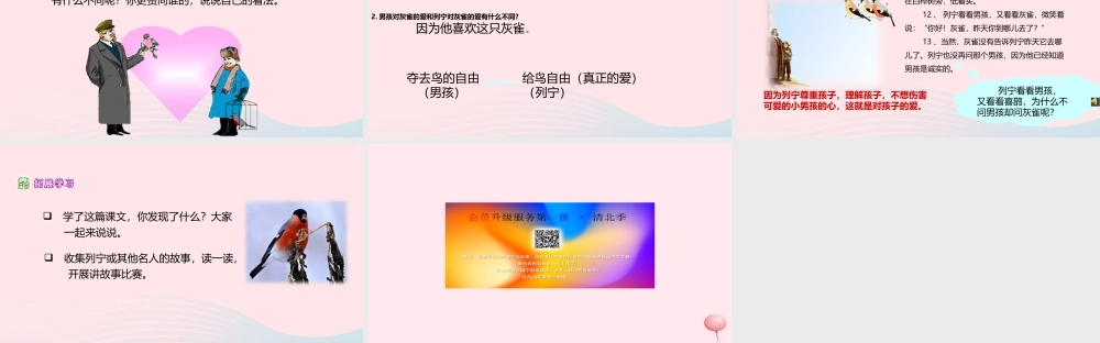 三年级语文上册 第二单元 5《灰雀》精品课件 鲁教版-鲁教版小学三年级上册语文课件
