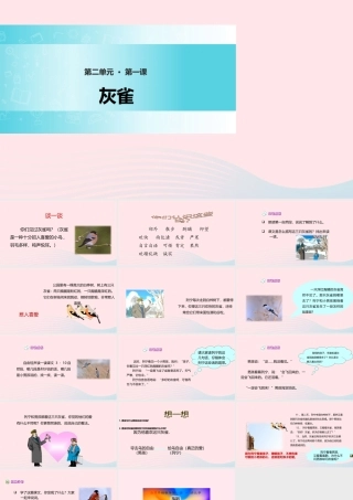 三年级语文上册 第二单元 5《灰雀》精品课件 鲁教版-鲁教版小学三年级上册语文课件