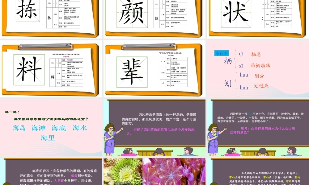 三年级语文上册 第六组 22《富饶的西沙群岛》课堂教学课件1 新人教版-新人教版小学三年级上册语文课件