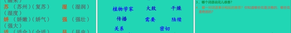 三年级语文上册 第四组 13《花钟》课件 新人教版-新人教版小学三年级上册语文课件