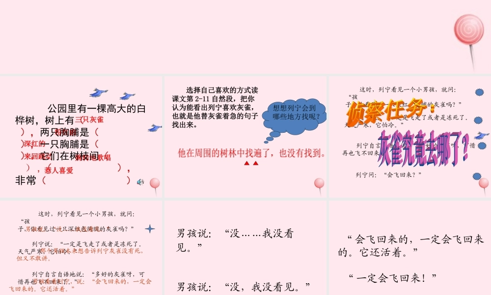 三年级语文上册 第二单元 5《灰雀》课件1 鲁教版-鲁教版小学三年级上册语文课件
