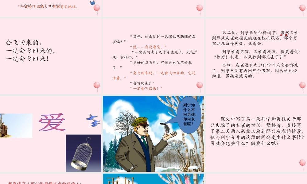 三年级语文上册 第二单元 5《灰雀》课件1 鲁教版-鲁教版小学三年级上册语文课件
