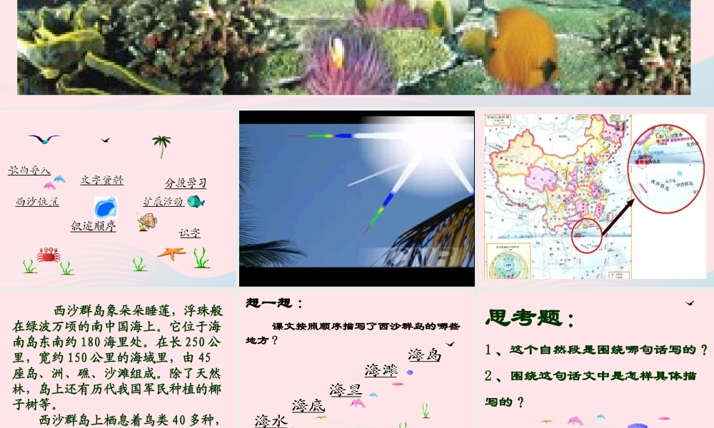 三年级语文上册 第六组 22《富饶的西沙群岛》课堂教学课件2 新人教版-新人教版小学三年级上册语文课件