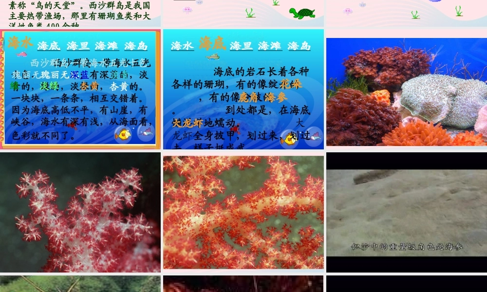 三年级语文上册 第六组 22《富饶的西沙群岛》课堂教学课件2 新人教版-新人教版小学三年级上册语文课件