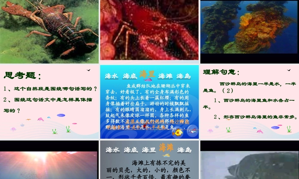 三年级语文上册 第六组 22《富饶的西沙群岛》课堂教学课件2 新人教版-新人教版小学三年级上册语文课件