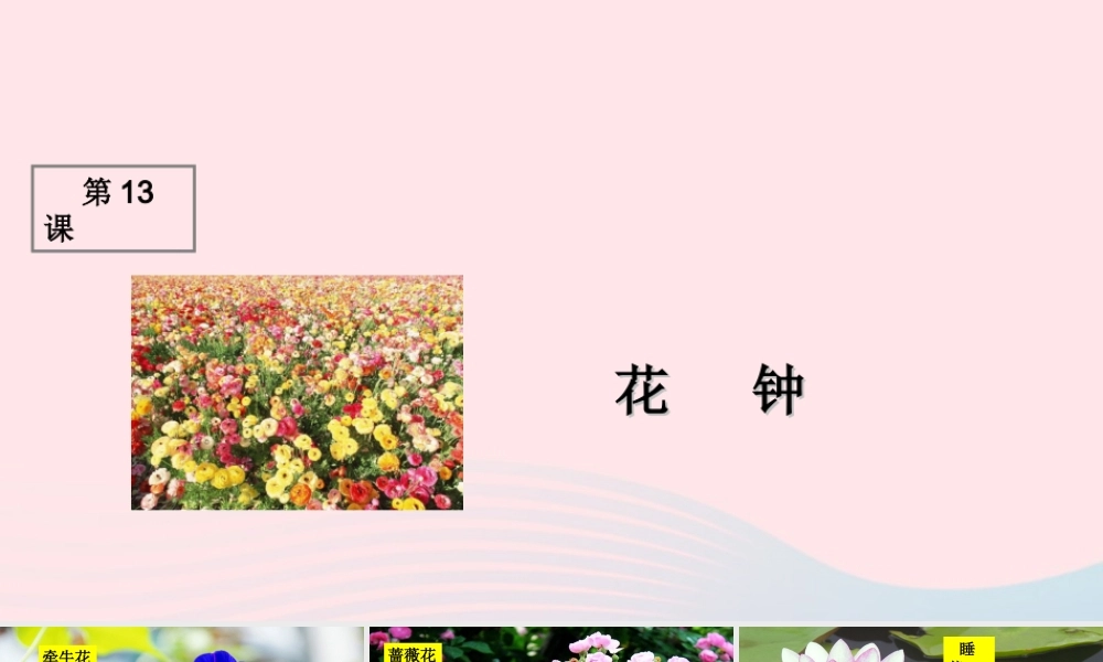 三年级语文上册 第四组 13《花钟》课堂教学课件1 新人教版-新人教版小学三年级上册语文课件