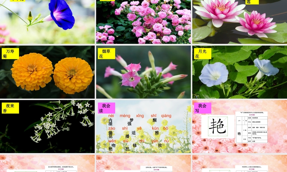 三年级语文上册 第四组 13《花钟》课堂教学课件1 新人教版-新人教版小学三年级上册语文课件