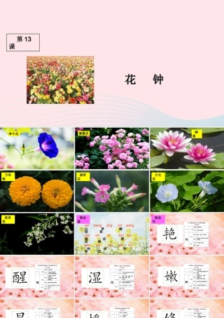三年级语文上册 第四组 13《花钟》课堂教学课件1 新人教版-新人教版小学三年级上册语文课件