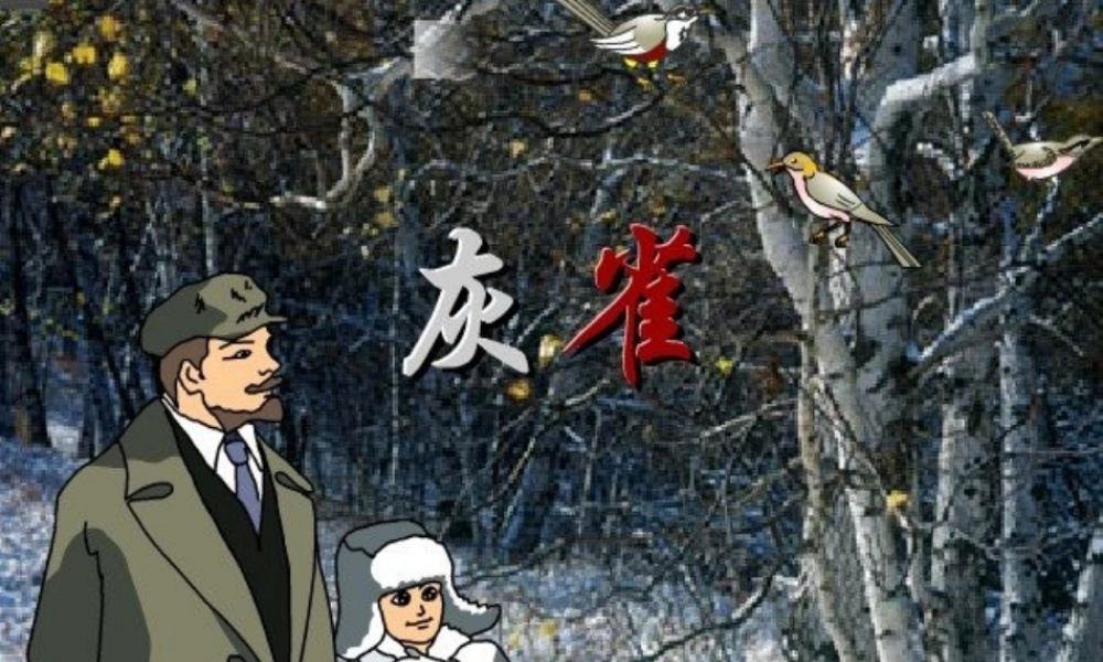 三年级语文上册 第二单元 5《灰雀》课件2 鲁教版-鲁教版小学三年级上册语文课件