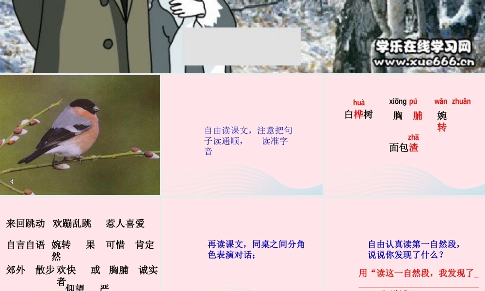 三年级语文上册 第二单元 5《灰雀》课件2 鲁教版-鲁教版小学三年级上册语文课件