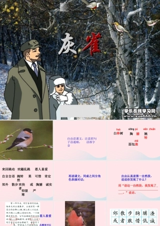 三年级语文上册 第二单元 5《灰雀》课件2 鲁教版-鲁教版小学三年级上册语文课件