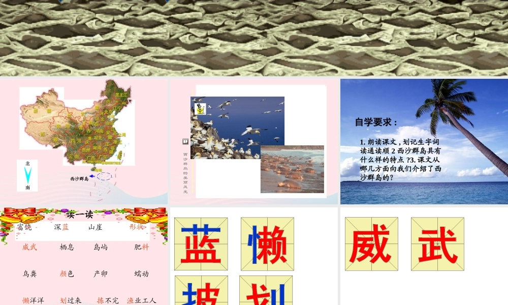 三年级语文上册 第六组 22《富饶的西沙群岛》课堂教学课件3 新人教版-新人教版小学三年级上册语文课件