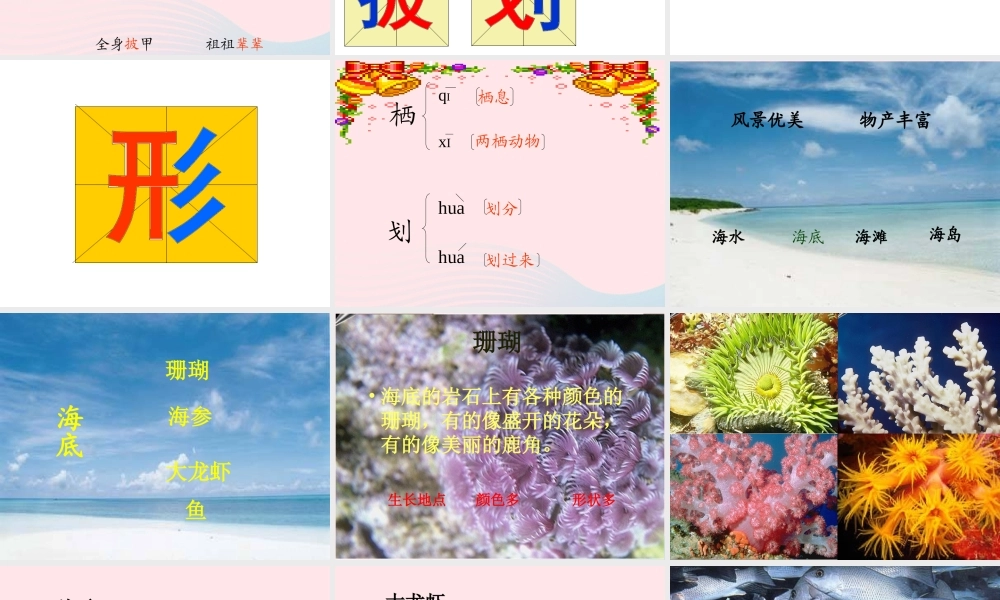 三年级语文上册 第六组 22《富饶的西沙群岛》课堂教学课件3 新人教版-新人教版小学三年级上册语文课件