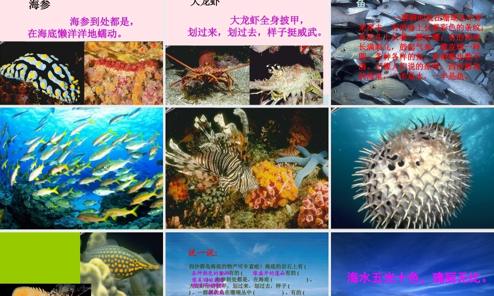 三年级语文上册 第六组 22《富饶的西沙群岛》课堂教学课件3 新人教版-新人教版小学三年级上册语文课件