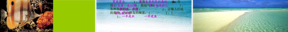 三年级语文上册 第六组 22《富饶的西沙群岛》课堂教学课件3 新人教版-新人教版小学三年级上册语文课件