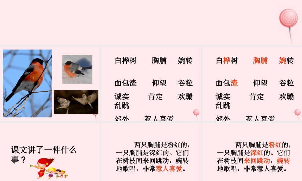 三年级语文上册 第二单元 5《灰雀》培优课件 鲁教版-鲁教版小学三年级上册语文课件