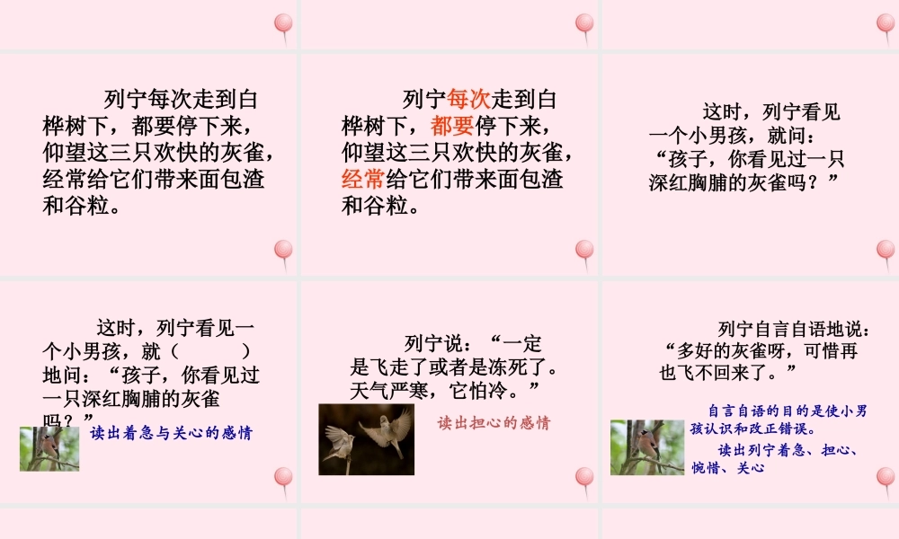 三年级语文上册 第二单元 5《灰雀》培优课件 鲁教版-鲁教版小学三年级上册语文课件