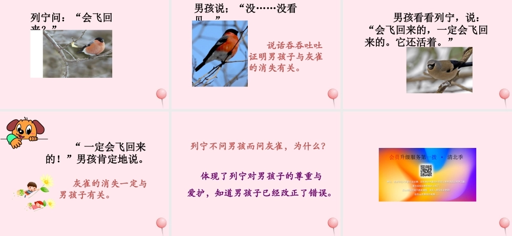 三年级语文上册 第二单元 5《灰雀》培优课件 鲁教版-鲁教版小学三年级上册语文课件