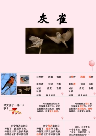 三年级语文上册 第二单元 5《灰雀》培优课件 鲁教版-鲁教版小学三年级上册语文课件