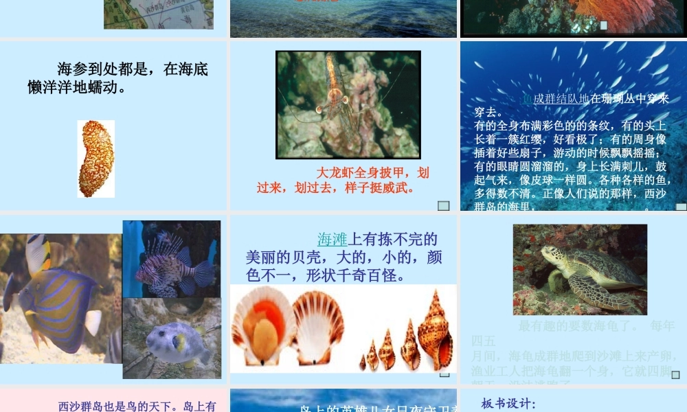 三年级语文上册 第六组 22《富饶的西沙群岛》课堂教学课件4 新人教版-新人教版小学三年级上册语文课件