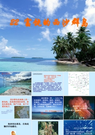 三年级语文上册 第六组 22《富饶的西沙群岛》课堂教学课件4 新人教版-新人教版小学三年级上册语文课件